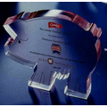 Pig Shape Embedment / Award